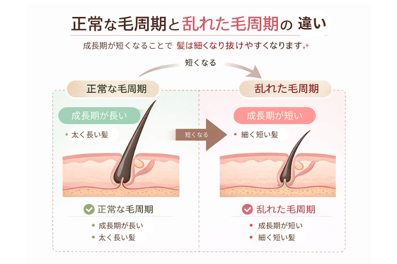 毛周期が乱れると何が起こるのか
