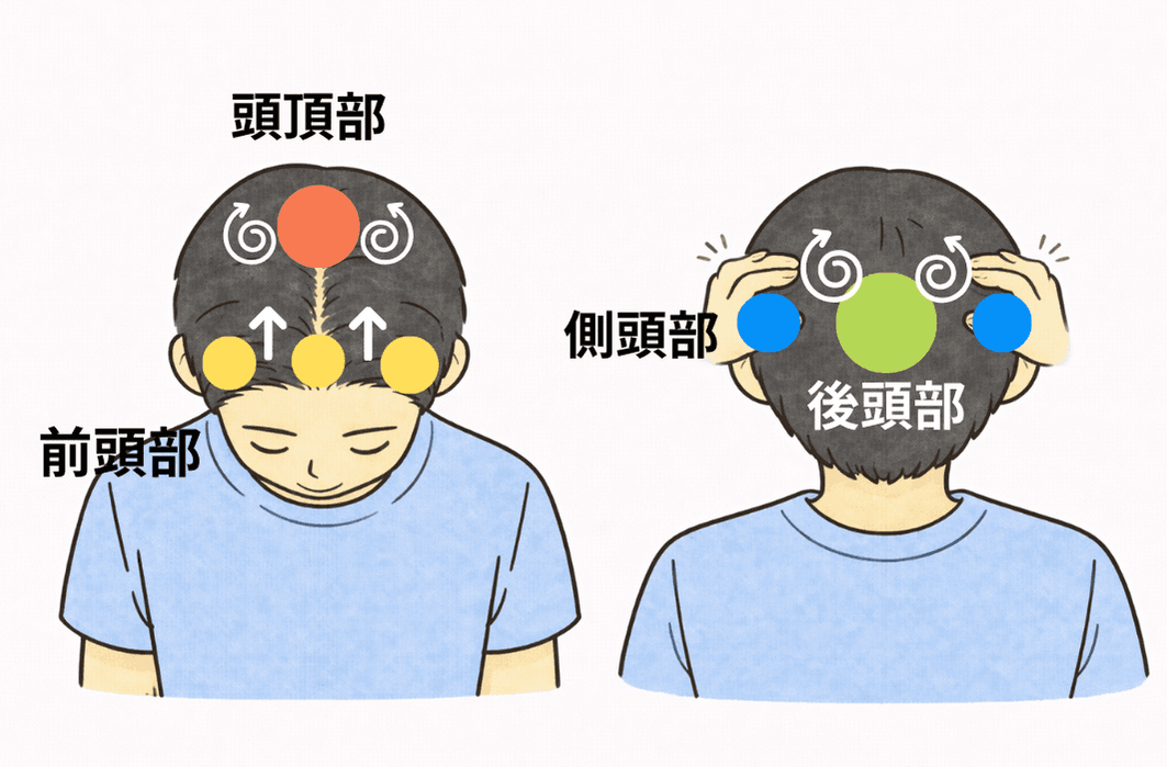 頭皮マッサージのステップ