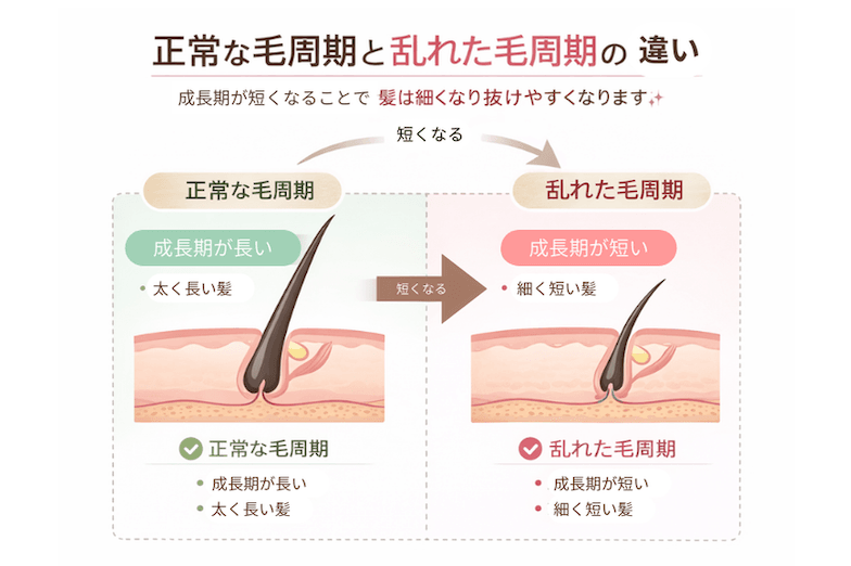 毛周期が乱れると何が起こるのか