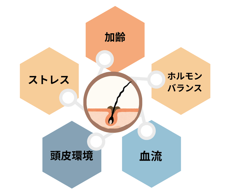 髪が細くなる5つの主な原因