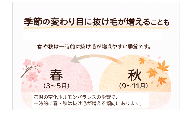 季節の変わり目に抜け毛が増えることも：春（3〜5月）と秋（9〜11月）