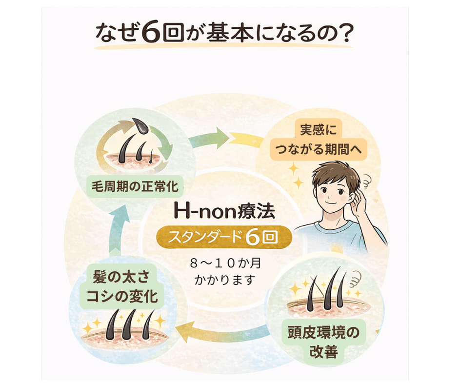 H-non療法スタンダード6回：頭皮環境の改善・髪の太さコシの変化・毛周期の正常化・実感につながる期間へ