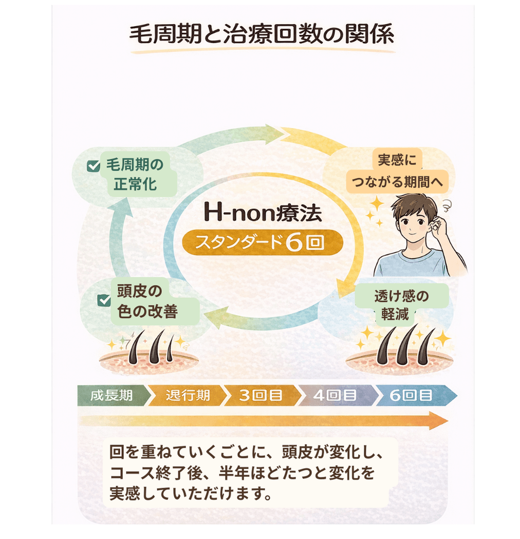 毛周期と治療回数の関係：H-non療法スタンダード6回で頭皮環境改善・毛周期正常化・透け感軽減へ