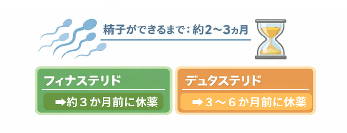 休薬の目安を示す図解。精子ができるまで約2〜3ヵ月、フィナステリドは約3か月前、デュタステリドは3〜6か月前に休薬