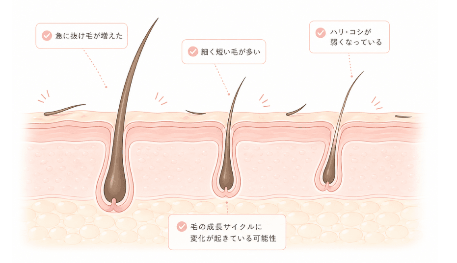 抜け毛の量や質の変化を示したイラスト