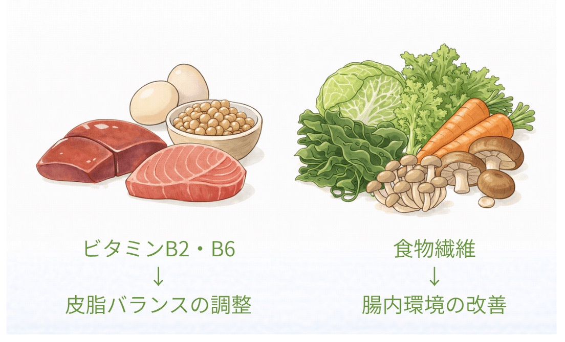 脂性肌タイプにおすすめの栄養素（ビタミンB2・B6・食物繊維）を含む食品のイラスト