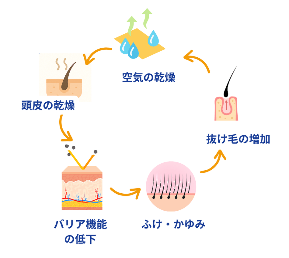 冬の頭皮環境の変化