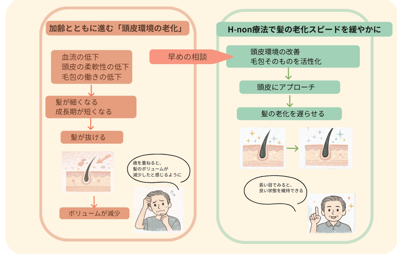 髪の毛の本数と太さの変化
